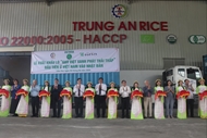 Low-emission rice marks breakthrough in Vietnamese rice sector’s green transformation